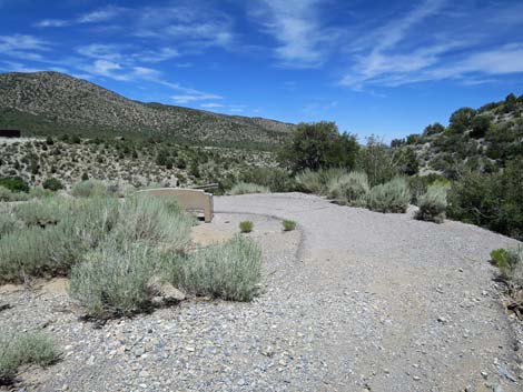 Escarpment Trail