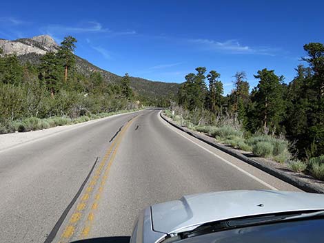 Deer Creek Road