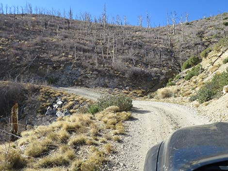 Harris Mountain Road