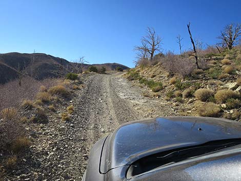 Harris Mountain Road