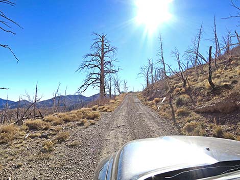 Harris Mountain Road