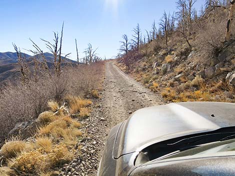 Harris Mountain Road