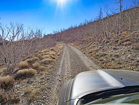 Harris Mountain Road