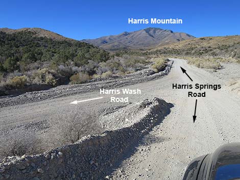 Harris Springs Road