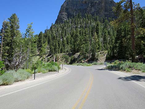 Kyle Canyon Road