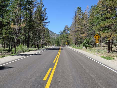 Lee Canyon Road