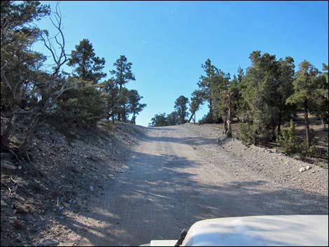 Mack's Canyon Road