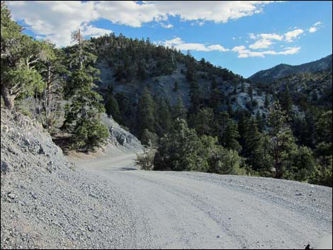 Mack's Canyon Road