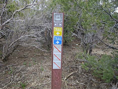 Blue Tree Loop Trail