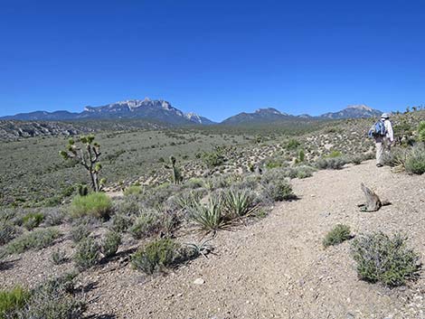 Rocky Gorge Loop Trail