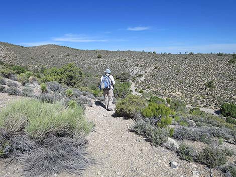 Rocky Gorge Loop Trail