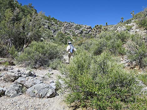 Rocky Gorge Loop Trail