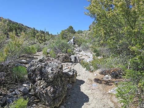 Rocky Gorge Loop Trail