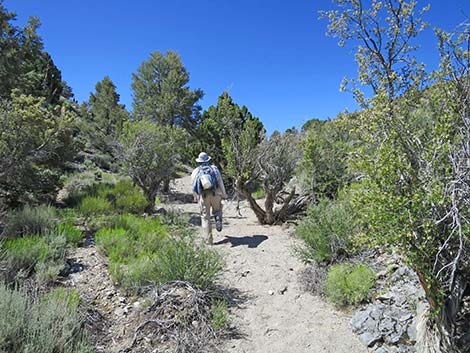 Rocky Gorge Loop Trail