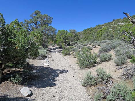 Rocky Gorge Loop Trail