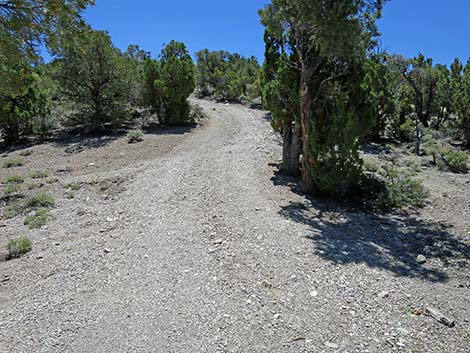 Rocky Gorge Loop Trail