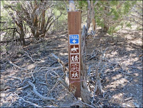 Sawmill Loop Trail