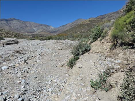 Schaefer Spring Trail