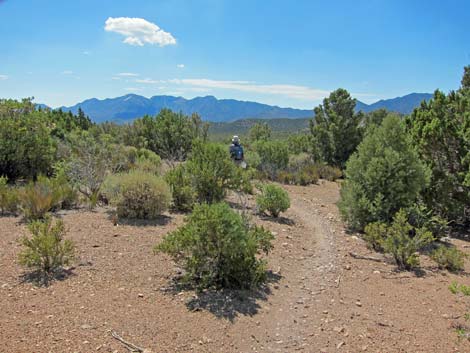 Lower Telephone Canyon Trail