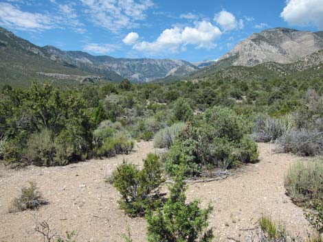 Lower Telephone Canyon Trail