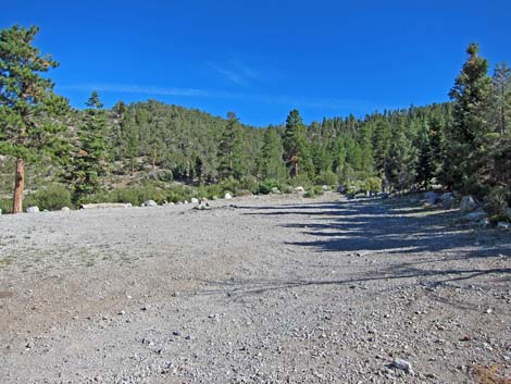 Bonanza Trailhead