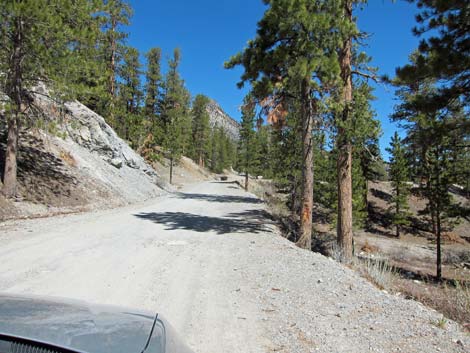 Lower Bristlecone Trailhead