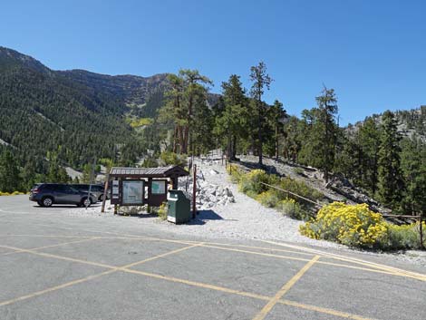 Upper Bristlecone Trailhead