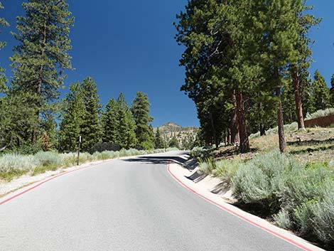 Cathedral Rock Trailhead