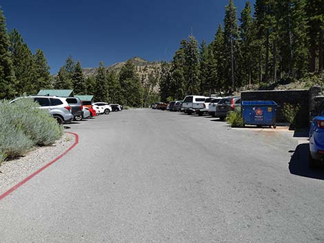 Cathedral Rock Trailhead