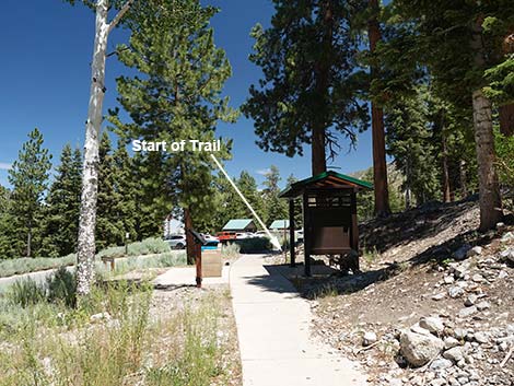 Cathedral Rock Trailhead