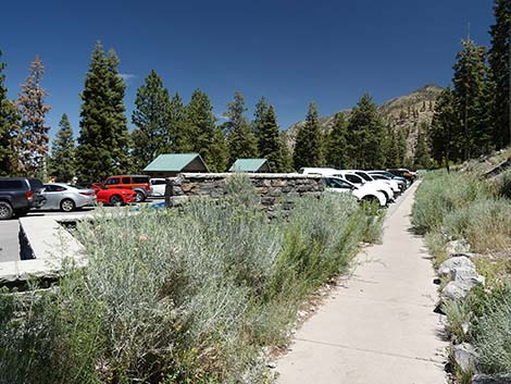 Cathedral Rock Trailhead