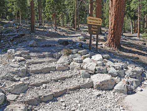 Cathedral Rock Trailhead