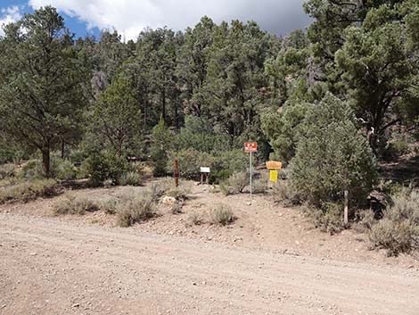 Lovell Canyon Trailhead