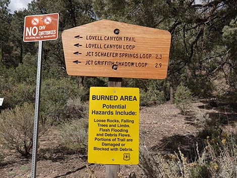 Lovell Canyon Trailhead