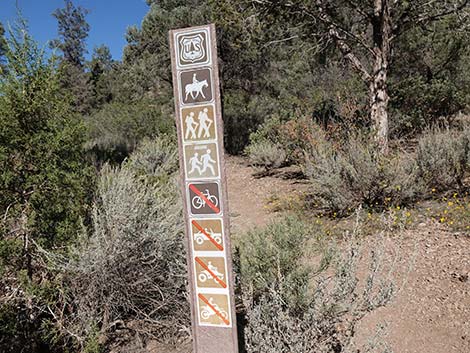 Lovell Canyon Trail