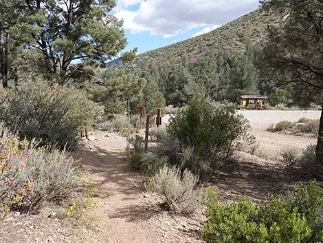 Lovell Canyon Trailhead