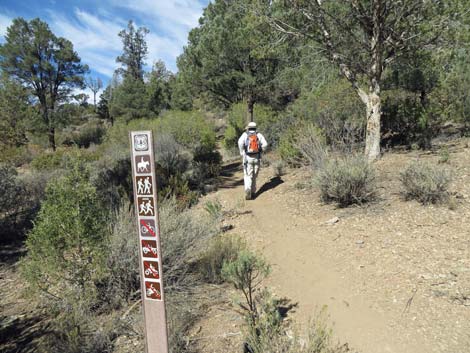 Lovell Canyon Trailhead