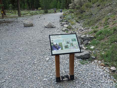 Mary Jane Falls Trailhead