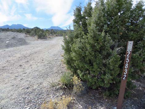 Sawmill Gravel Pit Trailhead