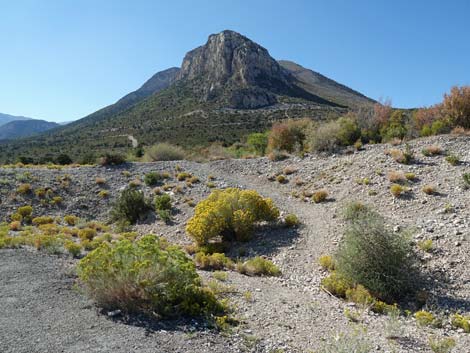 Step Ladder Trailhead