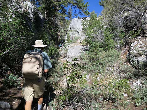 Wildhorse Loop Trail