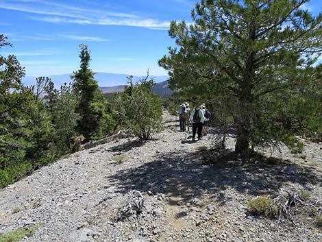 Wildhorse Loop Trail