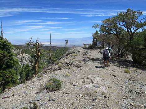 Wildhorse Loop Trail