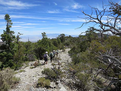 Wildhorse Loop Trail