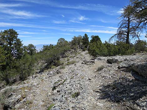 Wildhorse Loop Trail