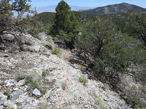 Wildhorse Loop Trail