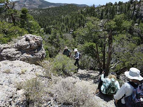 Wildhorse Loop Trail