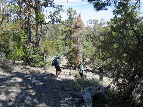 Wildhorse Loop Trail