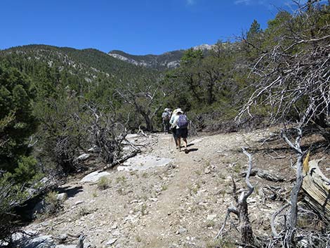 Wildhorse Loop Trail