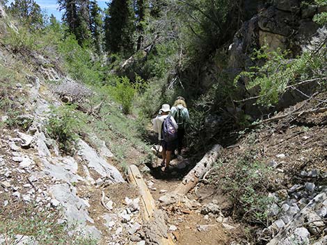 Wildhorse Loop Trail